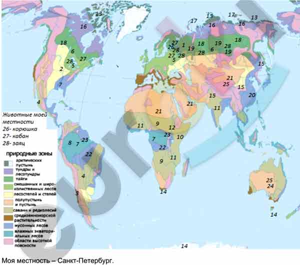 По карте природных зон определите. Карта природных зон 6 класс география контурная карта. Контурная карта природные зоны мира. Карта биосферы. Карта биосферы 6 класс.